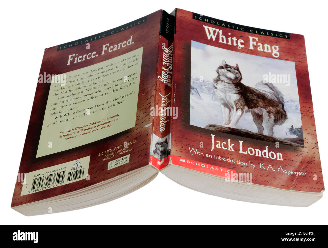 White Fang by Jack London Stock Photo