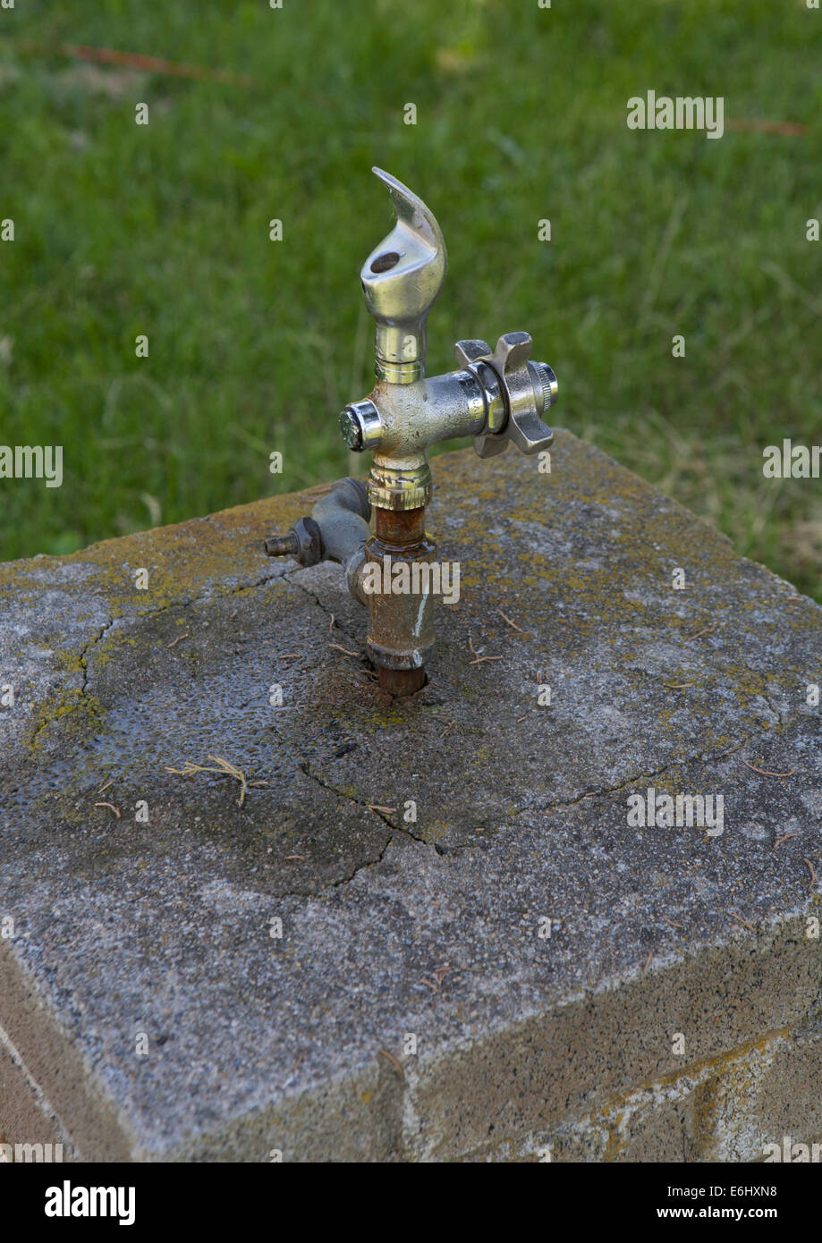 Water fountain spout in park. Stock Photo