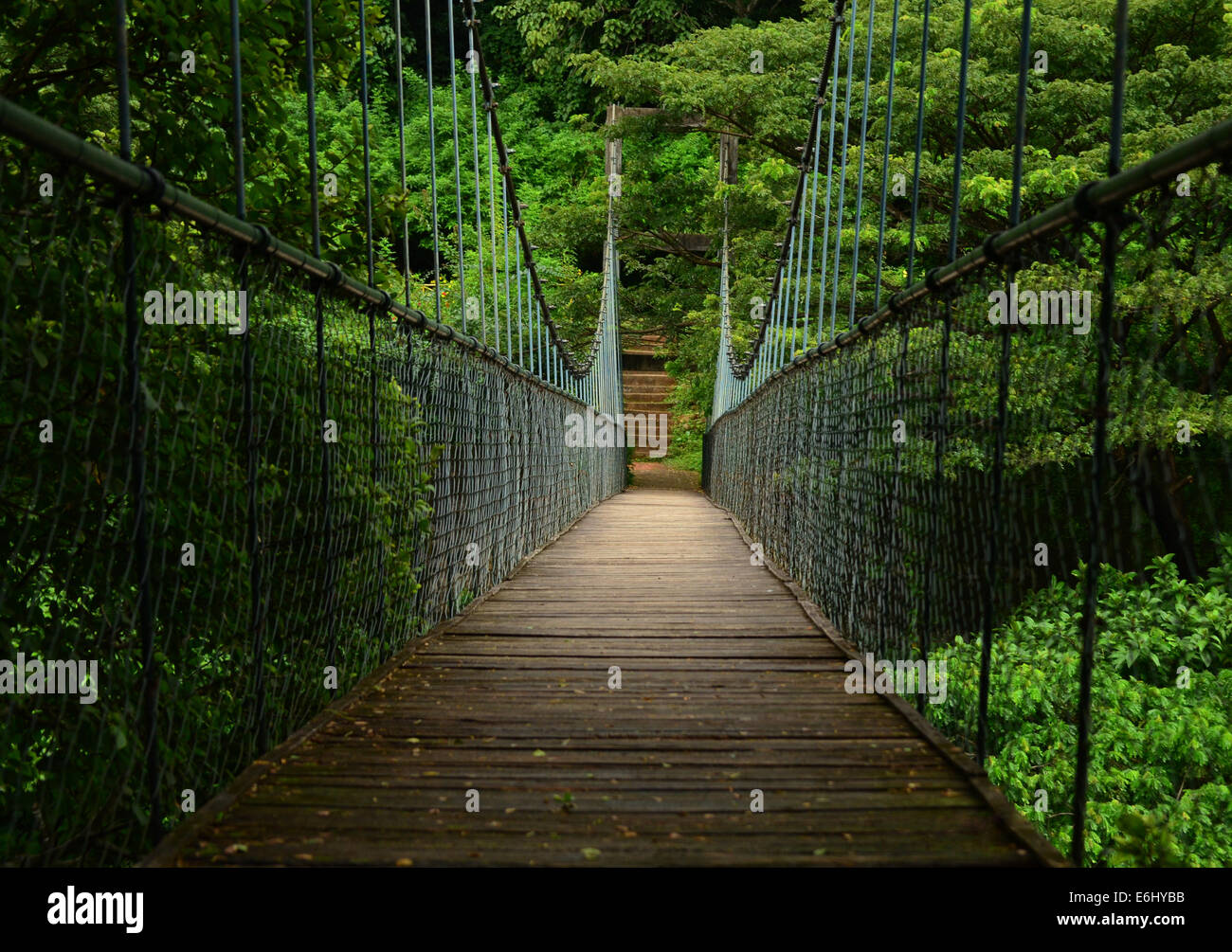 The Hanging Bridge Stock Photo
