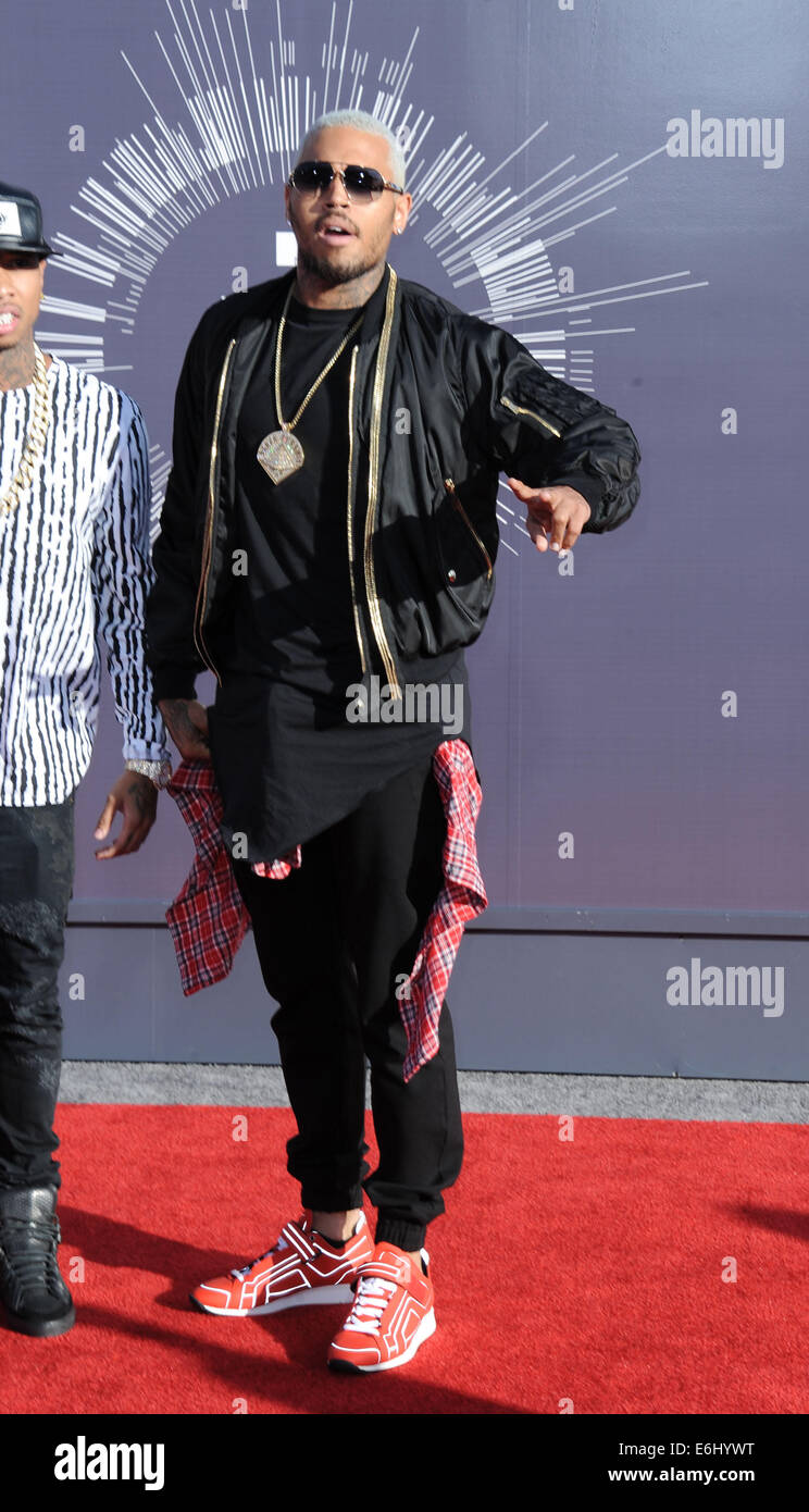 Los Angeles, California, USA. 24th Aug, 2014. Chris Brown attending the 2014 MTV Video Music Awards - Arrivals held at The Forum in Inglewood, California on August 24, 2014. 2014 Credit:  D. Long/Globe Photos/ZUMA Wire/Alamy Live News Stock Photo