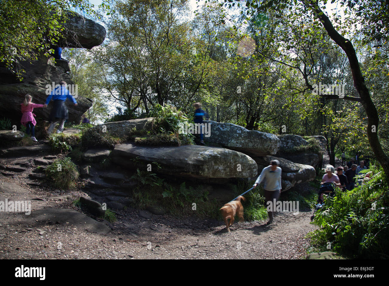 People at Brimham Rocks; Brimham Crags a collection of balancing natural rock formations sculpted over centuries by ice, wind and rain in the North Yorkshire Dales. holidaying active kids and visiting tourists at the National Trust Site making a great day out for families and climbers enjoying  a peculiar set of rock formations composed of millstone grit shaped by wind and weather Stock Photo