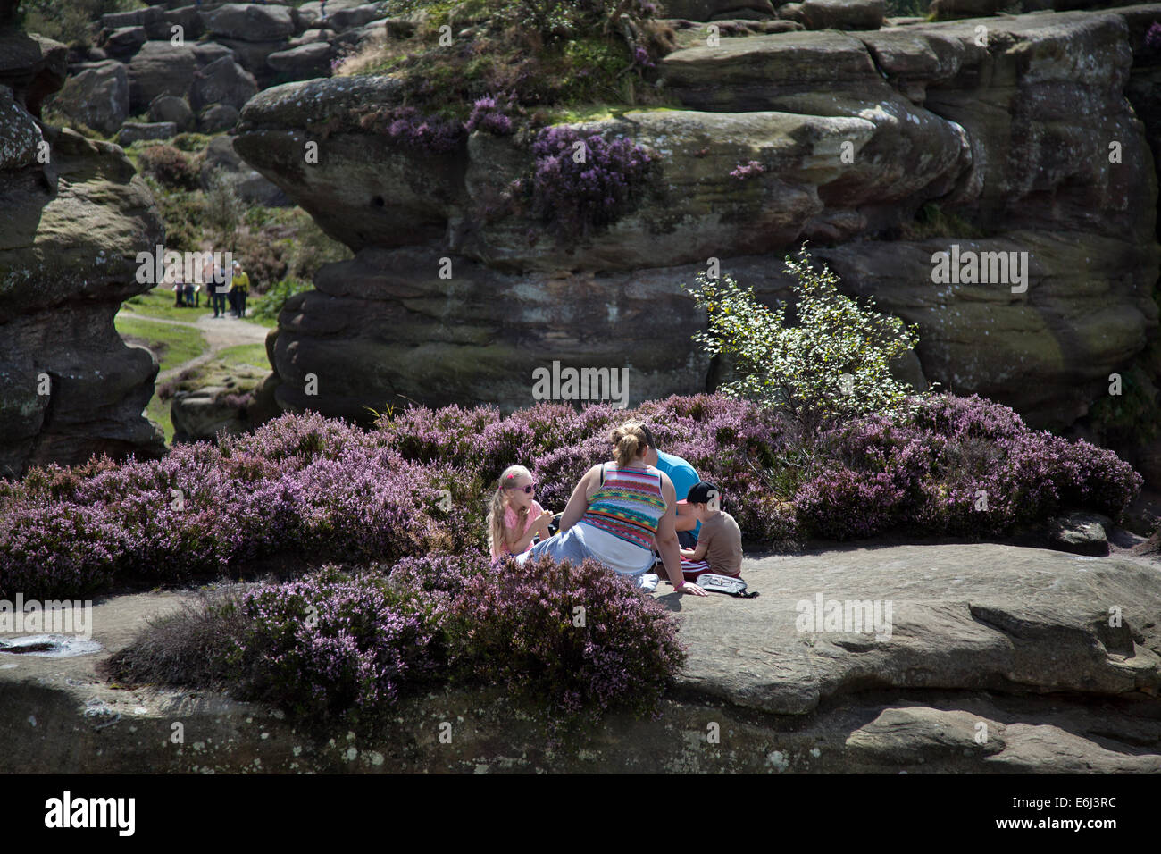People at Brimham Rocks; Brimham Crags a collection of balancing natural rock formations sculpted over centuries by ice, wind and rain in the North Yorkshire Dales. August holidaying active kids and visiting tourists at the National Trust Site making a great day out for families and climbers enjoying  a peculiar set of rock formations composed of millstone grit shaped by wind and weather Stock Photo