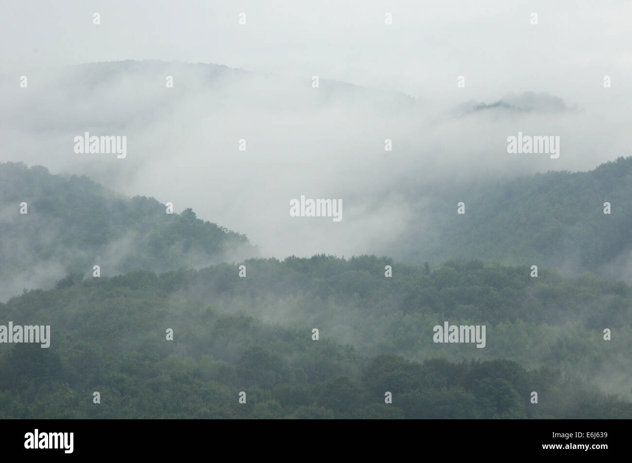 Mountain landscape with fog above green hills Stock Photo