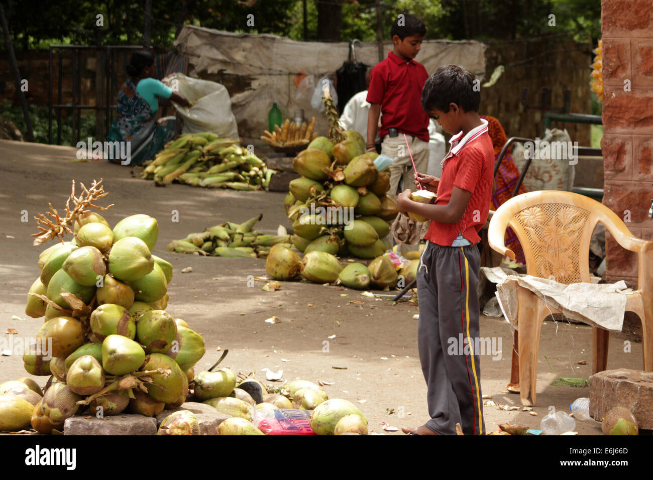 child labor selling coconut in gokak india Stock Photo Alamy
