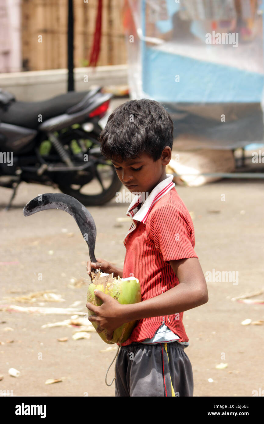 child labor selling coconut in gokak india Stock Photo Alamy