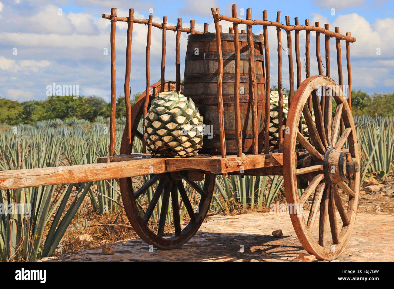 Old mexican trailer in front of blue agave plantation Stock Photo