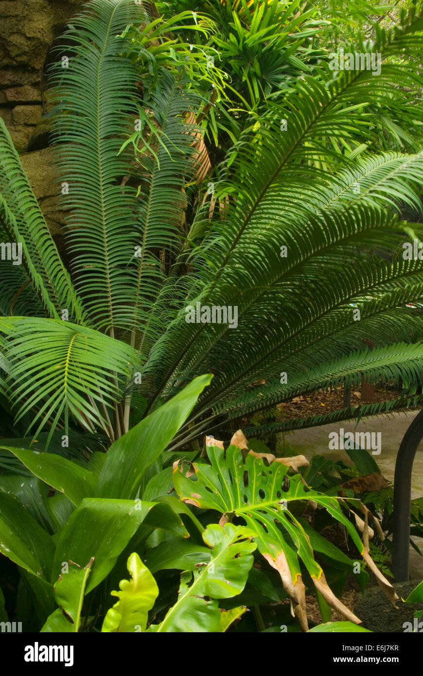 Parker Aviary, San Diego Zoo, Balboa Park, San Diego, California Stock Photo