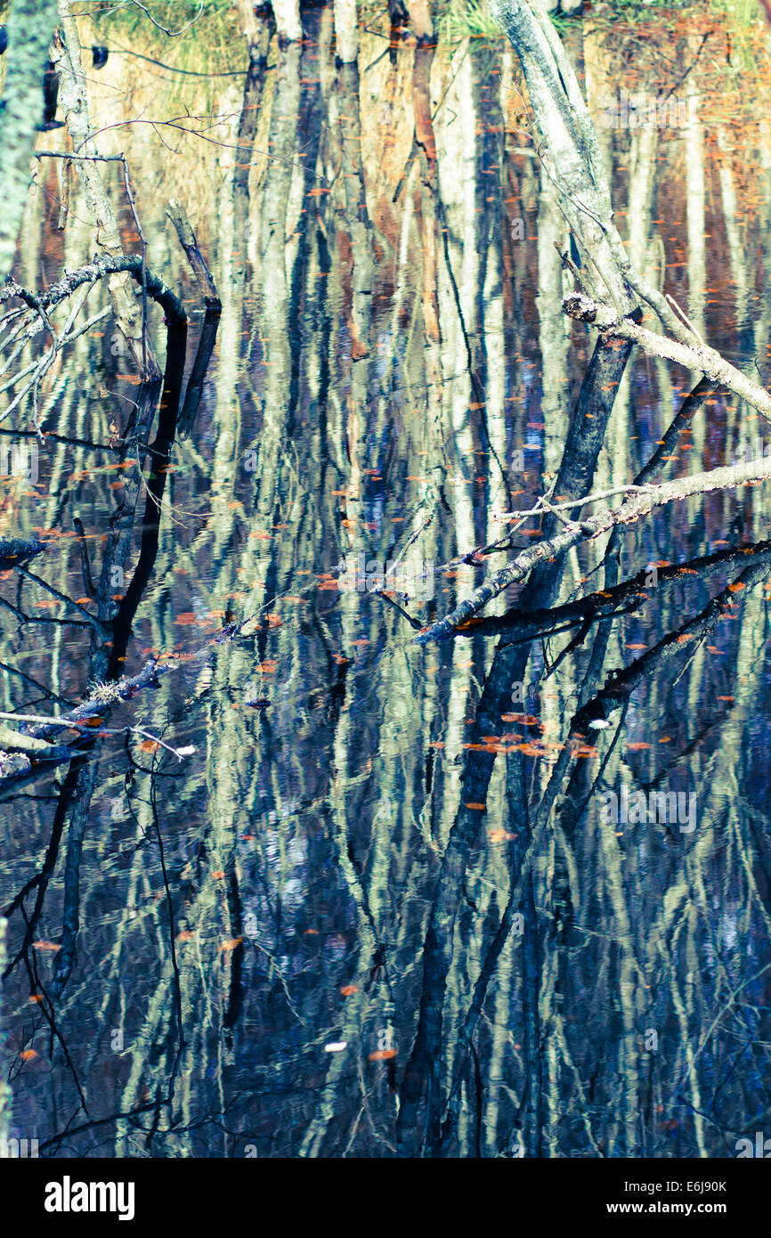 Background of autumn trees reflected in the water Stock Photo - Alamy
