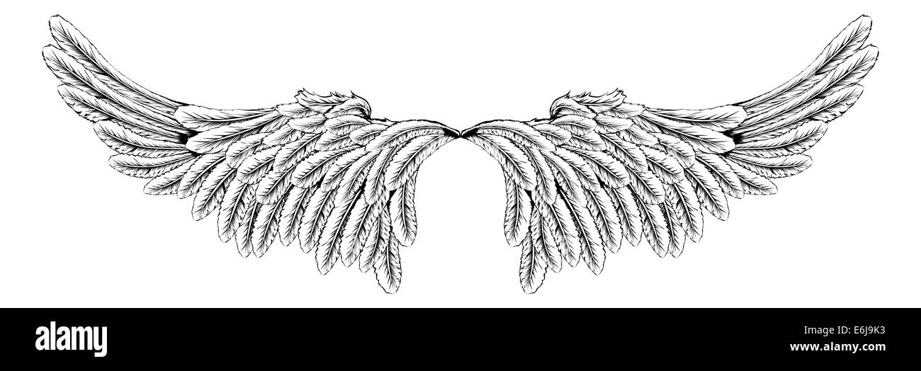 An illustration of a pair of wings like angel or eagle wings Stock Photo