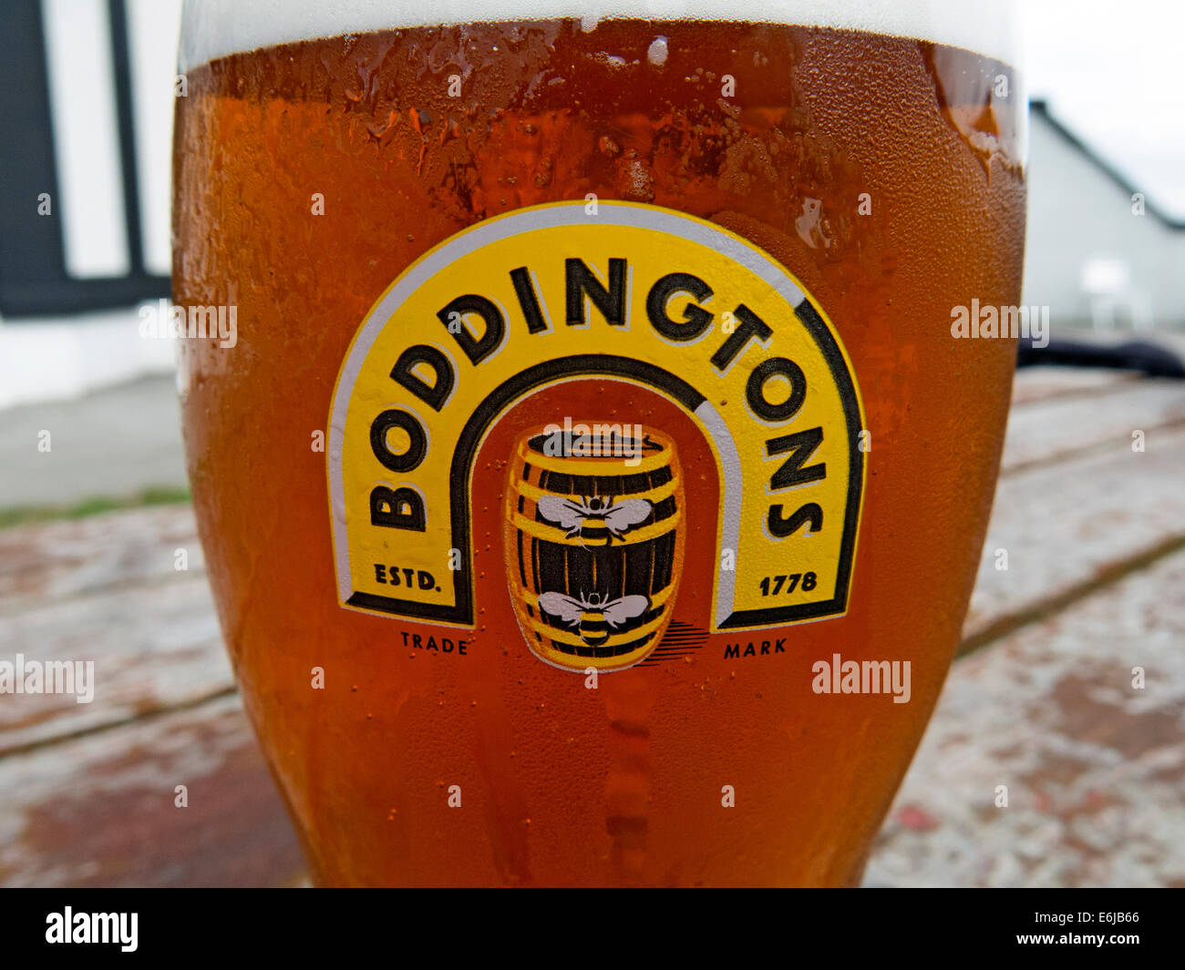 Glasses of Boddingtons Bitter from Manchester in a pint glass Stock Photo