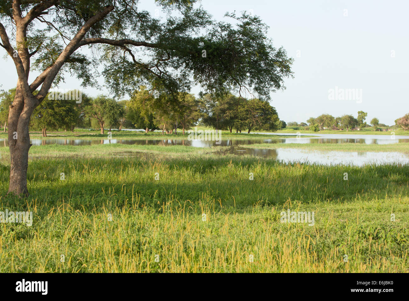 Agok River at Agok, Abyei, Sudan / South Sudan Stock Photo - Alamy