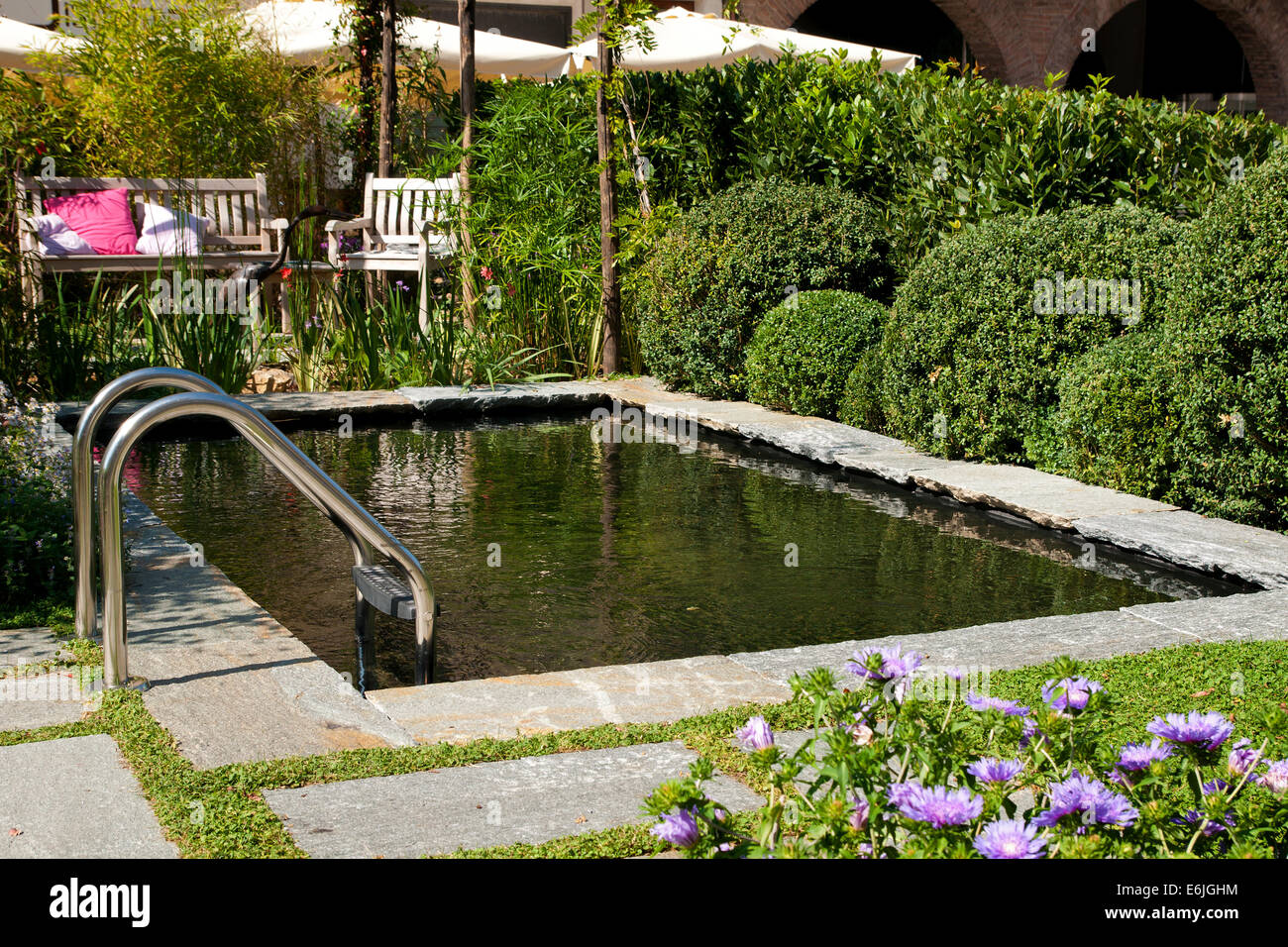 Ecological swimming pool in the garden Stock Photo Alamy