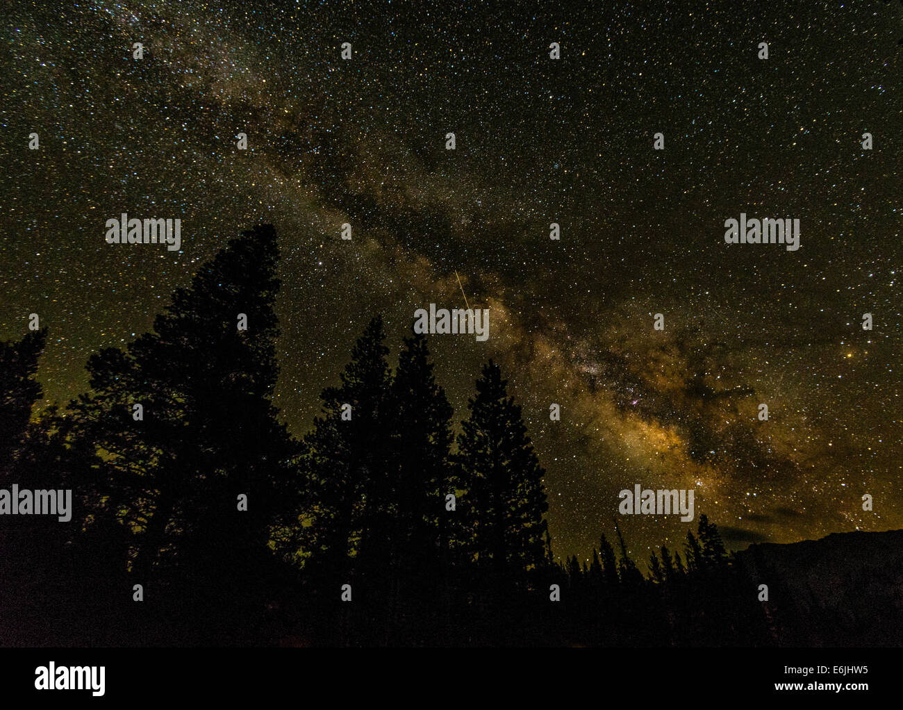 Milky Way and Pine trees (and Satellite streak) In Mammoth Lakes Stock Photo