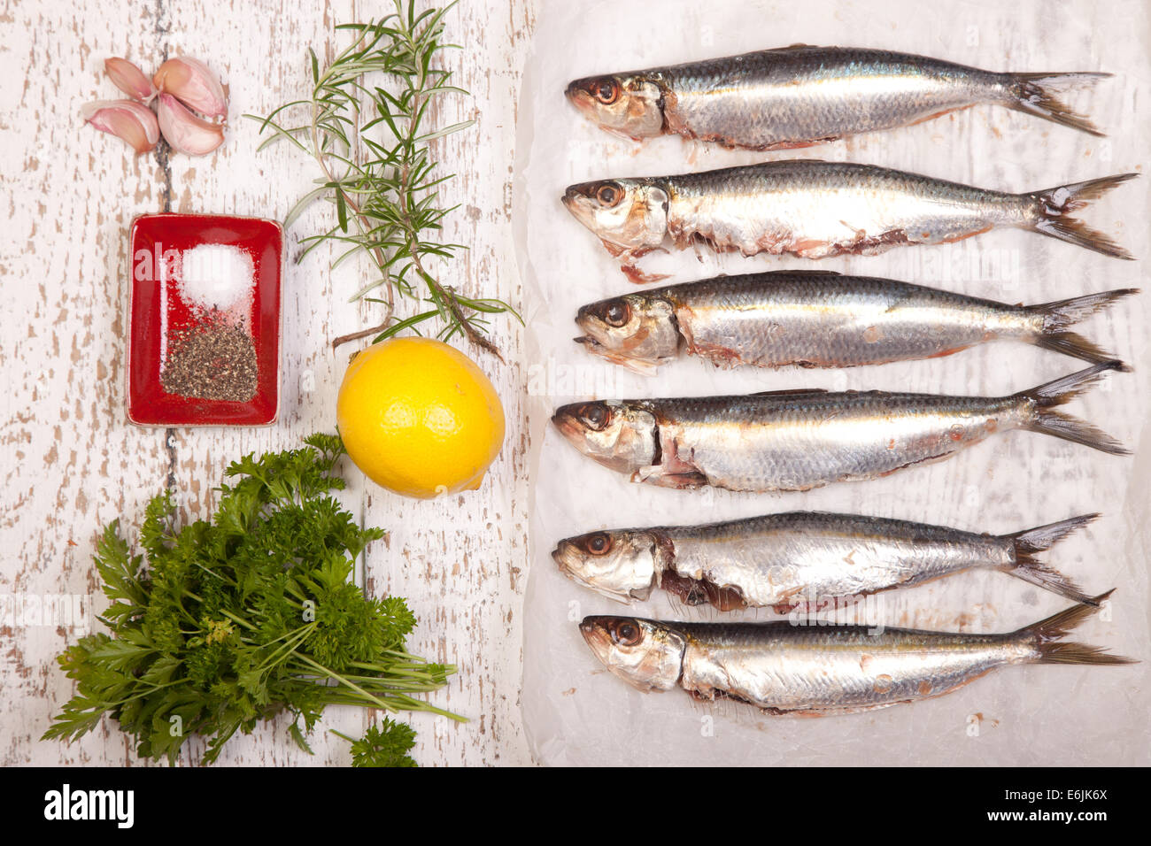 raw fresh sardines with cooking ingredients Stock Photo