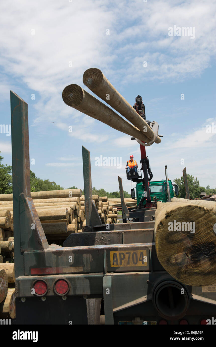 Flat, or open bed truck fitted with knuckle boom for moving telephone poles, loading poles from rail yard. Anastasio Group Stock Photo