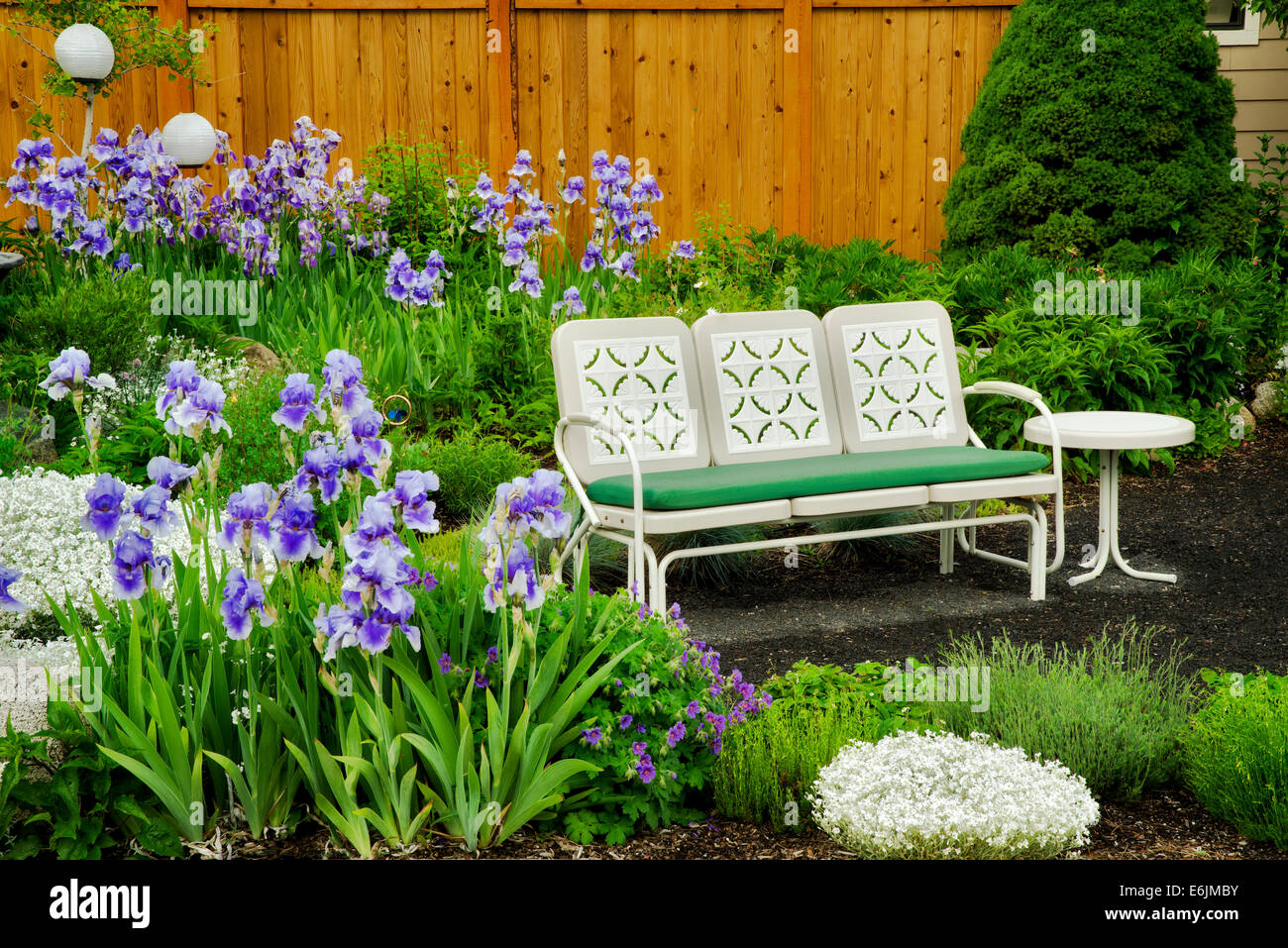 Iris bed hi-res stock photography and images - Alamy