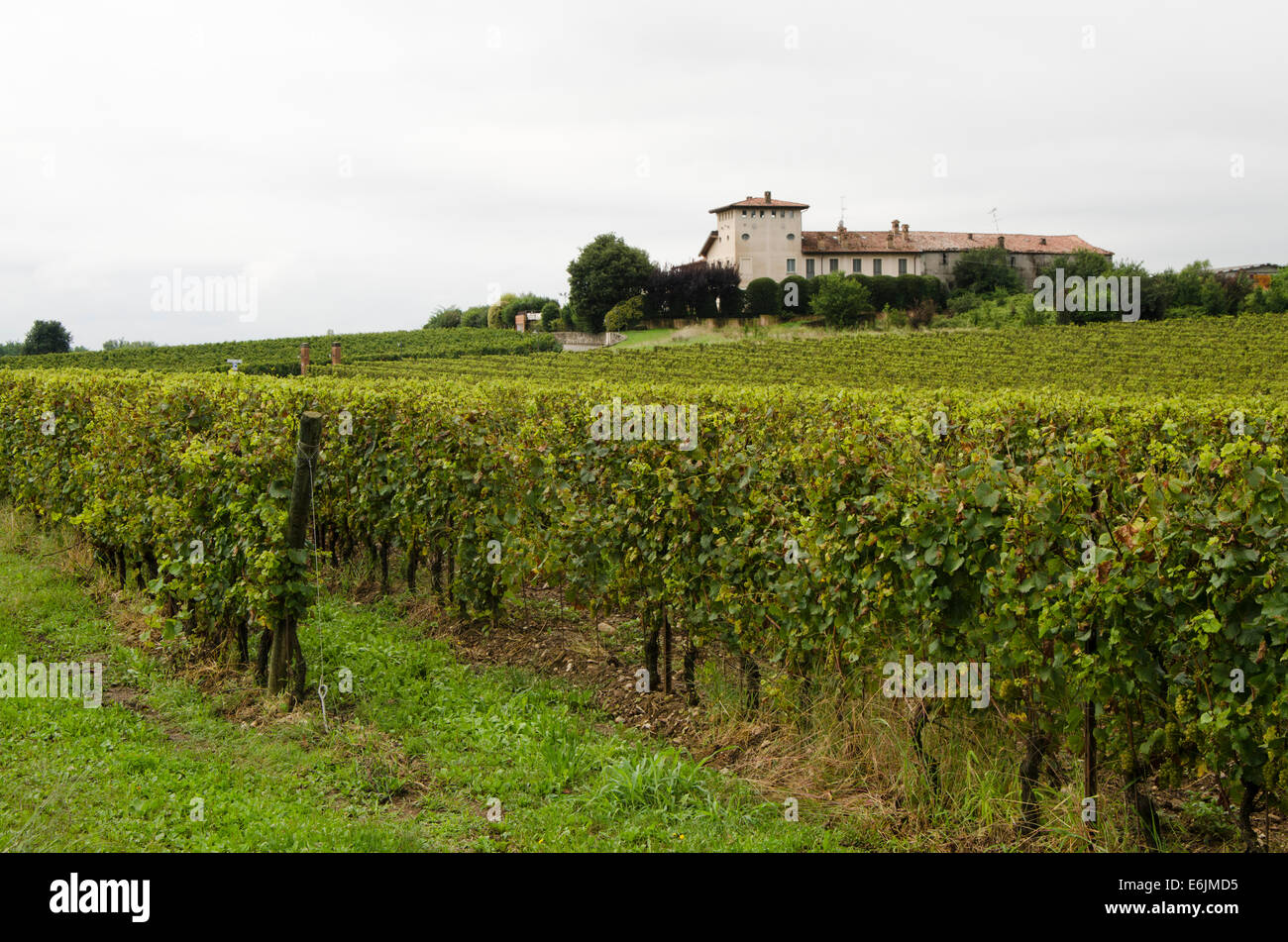 Franciacorta wine hi-res stock photography and images - Alamy