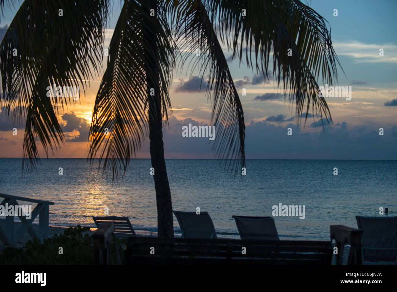 Looking through the fronds of a coconut palm, the sun sets over the Caribbean sea. Stock Photo
