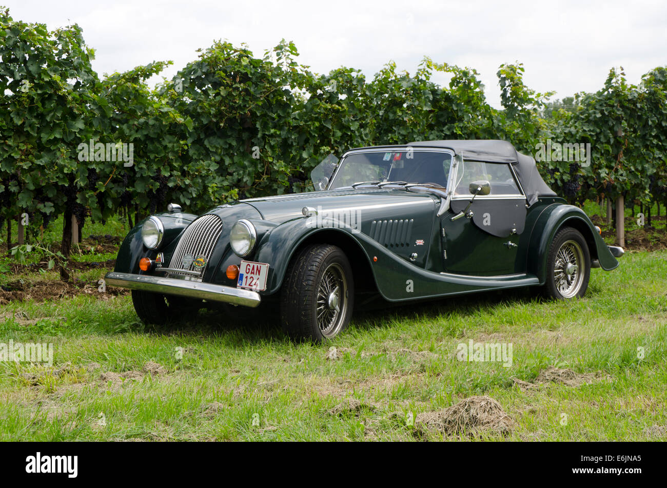 Morgan plus 8 parked in front of a vineyard Stock Photo - Alamy
