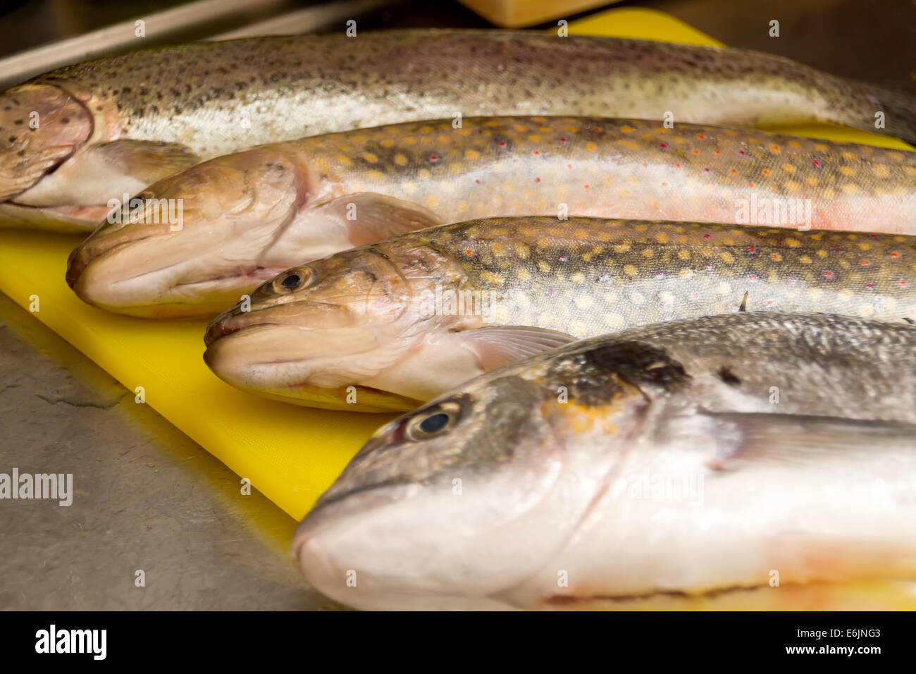 raw mixed fish Stock Photo - Alamy