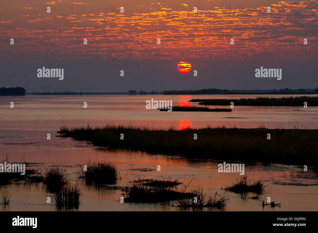 Sunrise over the Zambezi River, Zambia Stock Photo