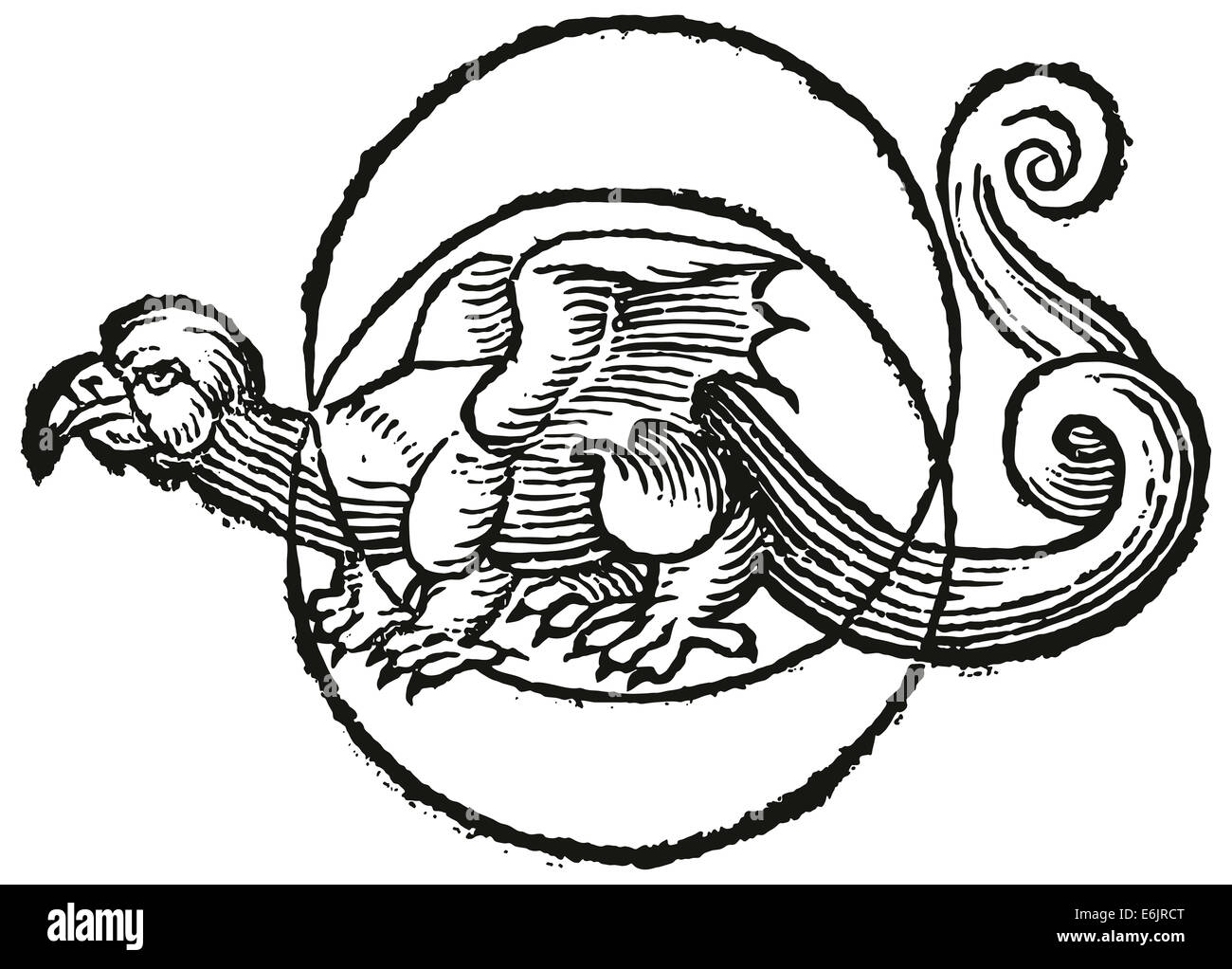 Moon Dragon in the center of two circles. Woodcut illustration. Stock Photo