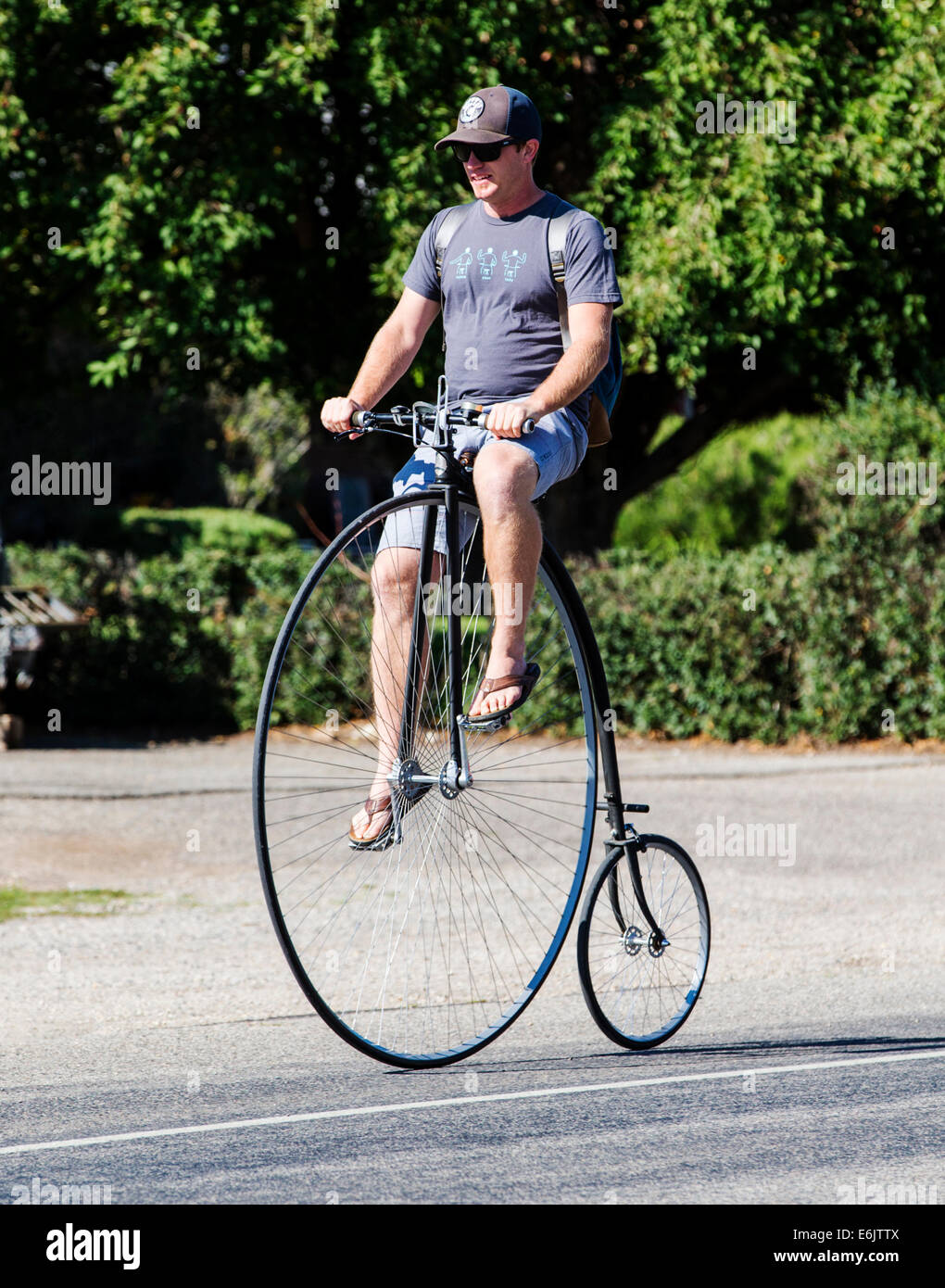 Man riding a penny-farthing, high wheel, high wheeler, or ordinary bicycle Stock Photo