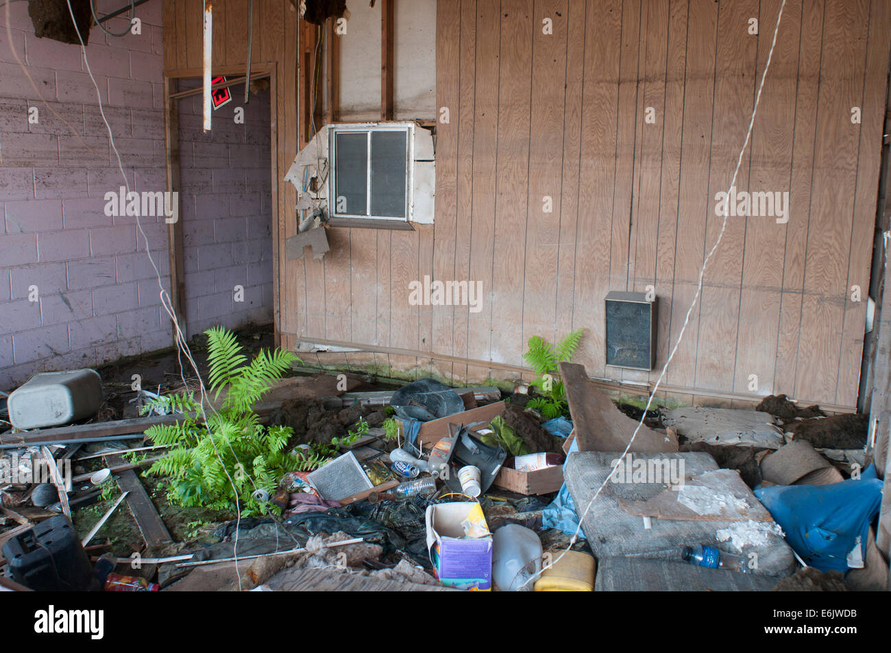 Residents rebuild, demolish homes and sell their land, or refuse to return to the 9th Ward after Hurricane Katrina in New Orlean Stock Photo