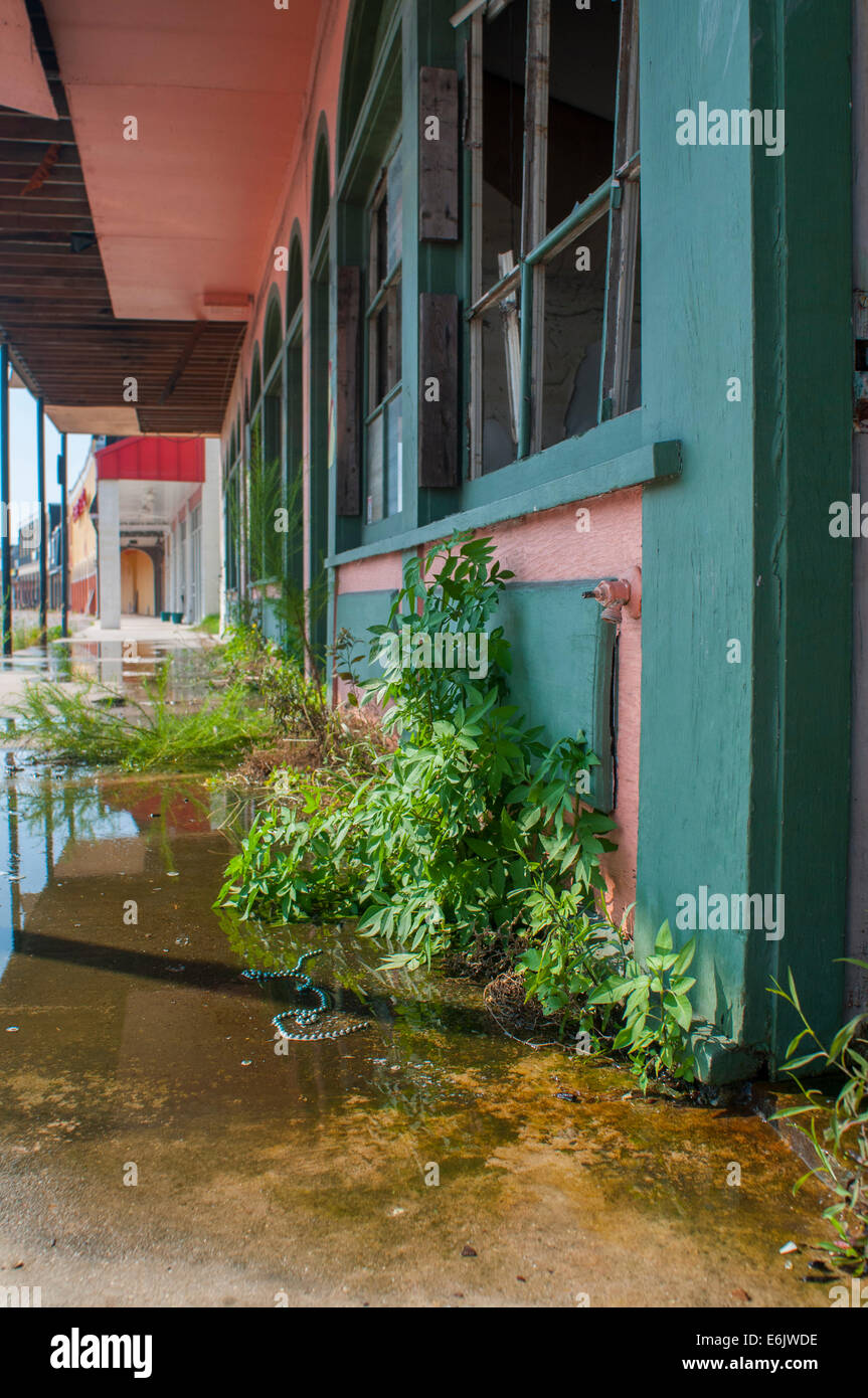 Residents rebuild, demolish homes and sell their land, or refuse to return to the 9th Ward after Hurricane Katrina in New Orlean Stock Photo