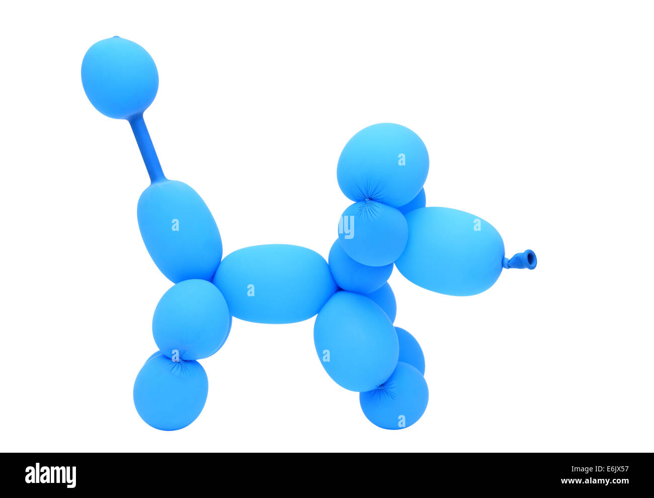 balloon animal poodle Stock Photo Alamy