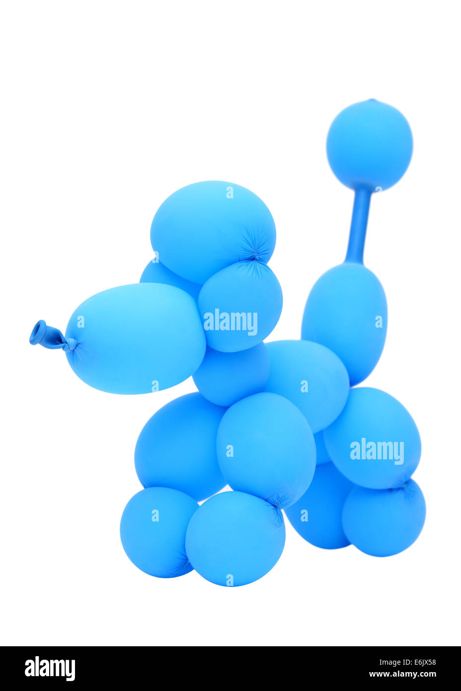balloon animal poodle Stock Photo Alamy