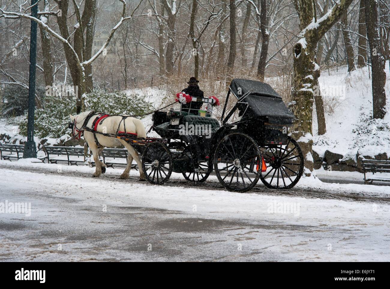 City snow horse carriage hi-res stock photography and images - Alamy