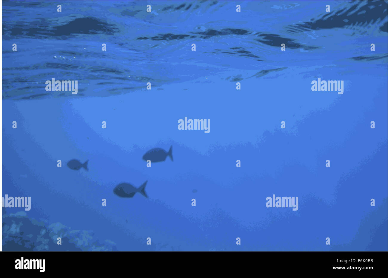 Blue abstract background of three fish swimming below the surface of ...
