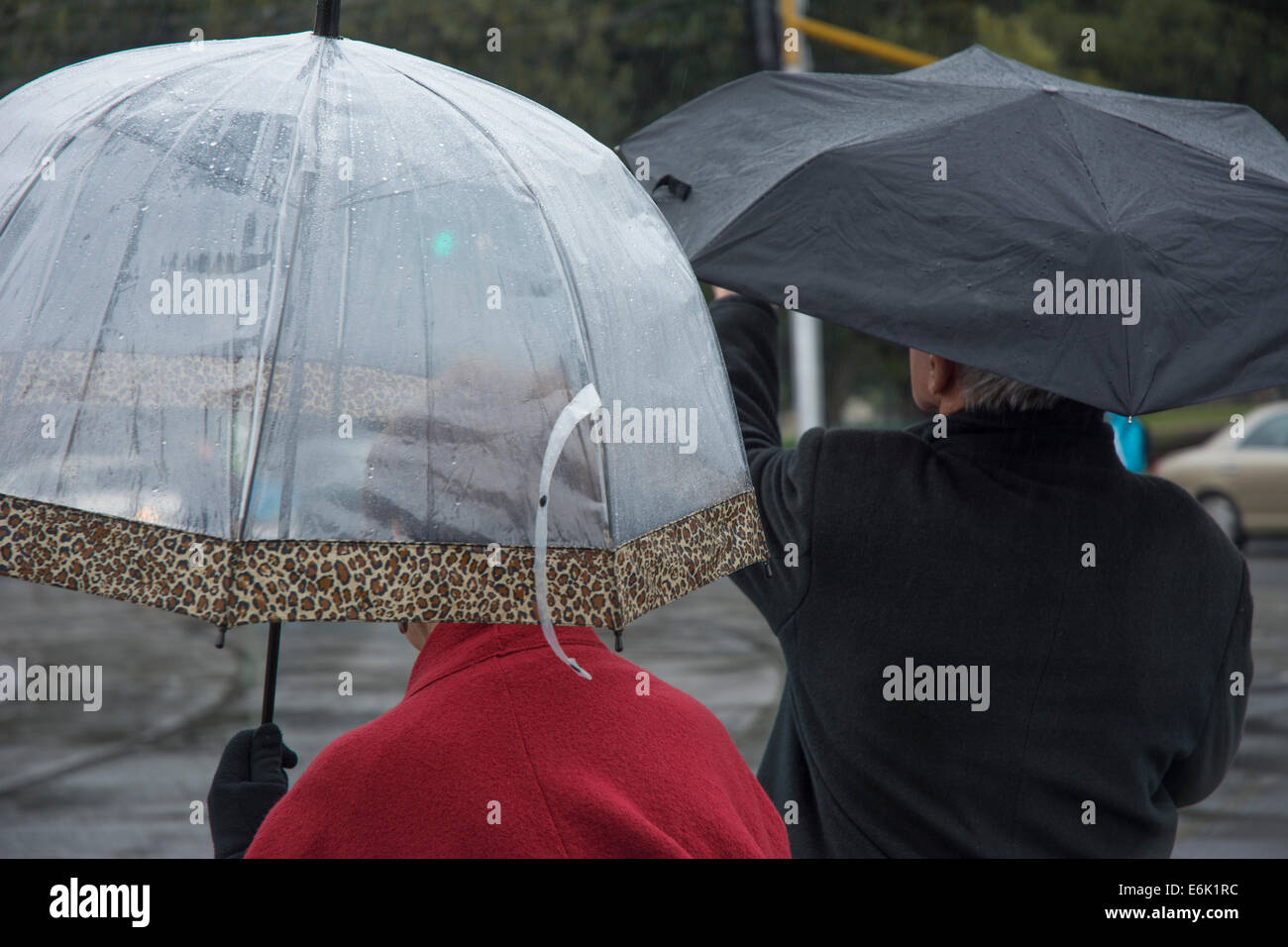Pedestrians with umbrella Stock Photo - Alamy