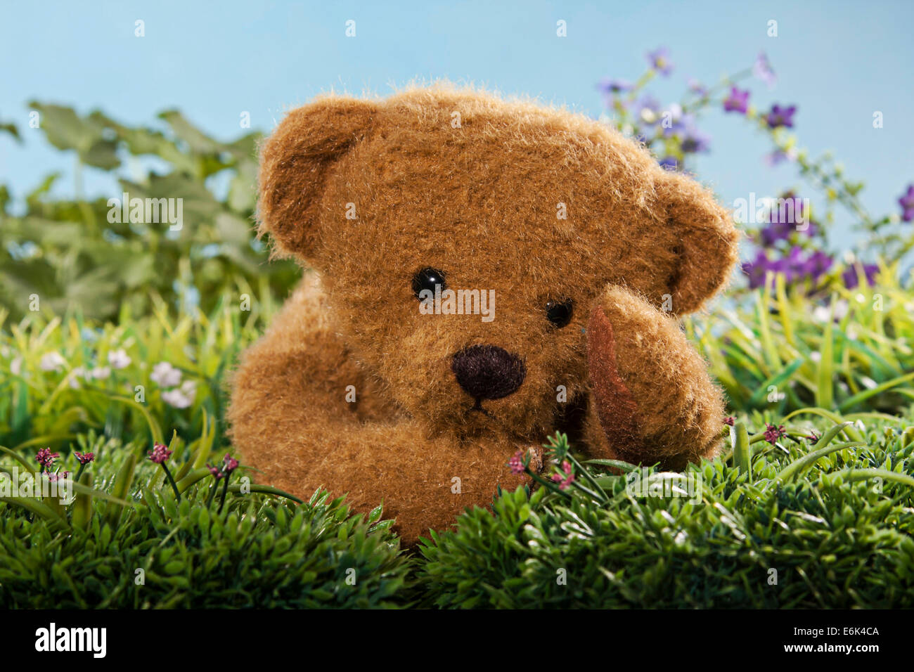 Teddy bear lying in the grass Stock Photo - Alamy