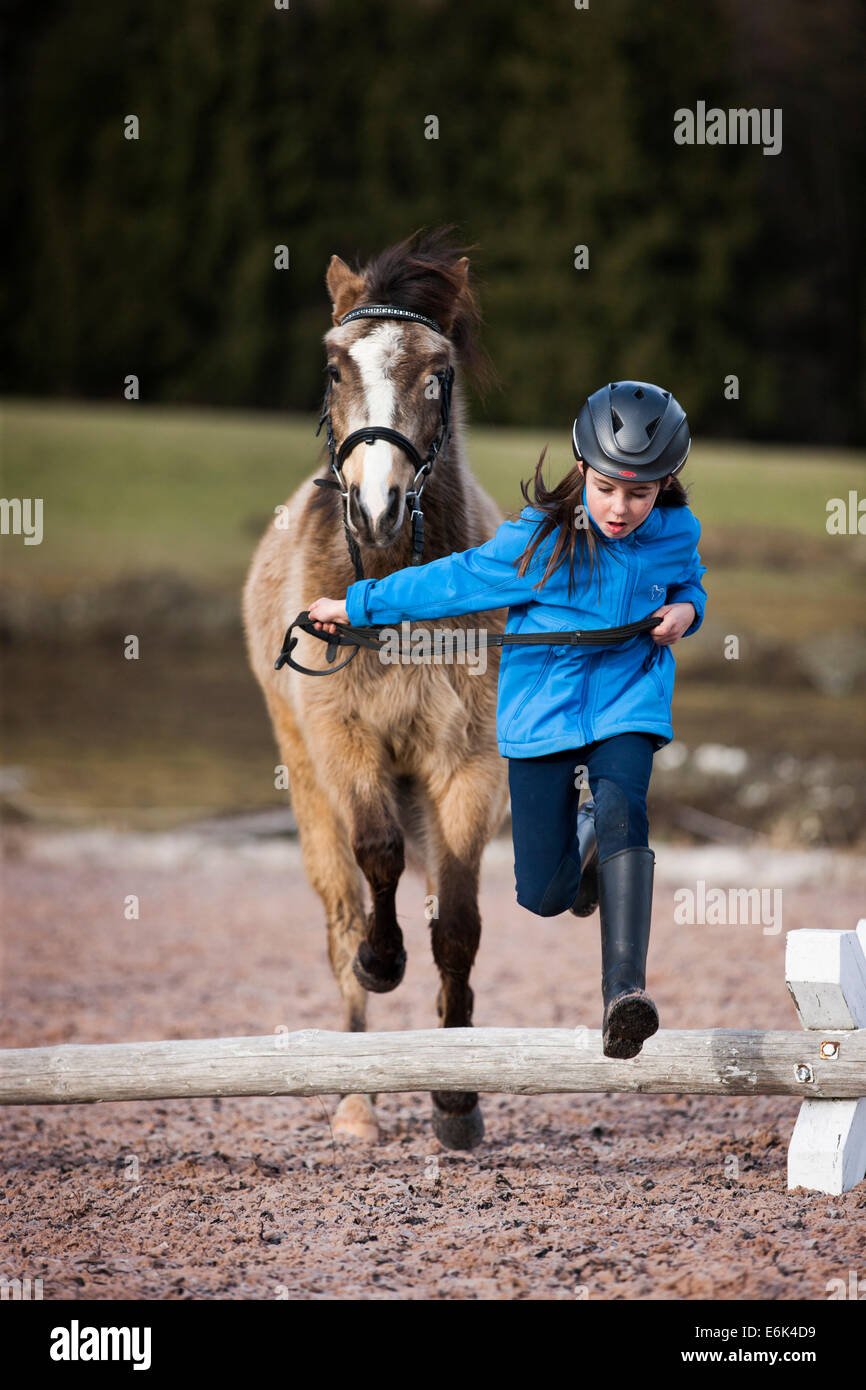 Girl wearing a riding helmet jumping over an obstacle with a pony, Falbe, with bridle, Tyrol, Austria Stock Photo