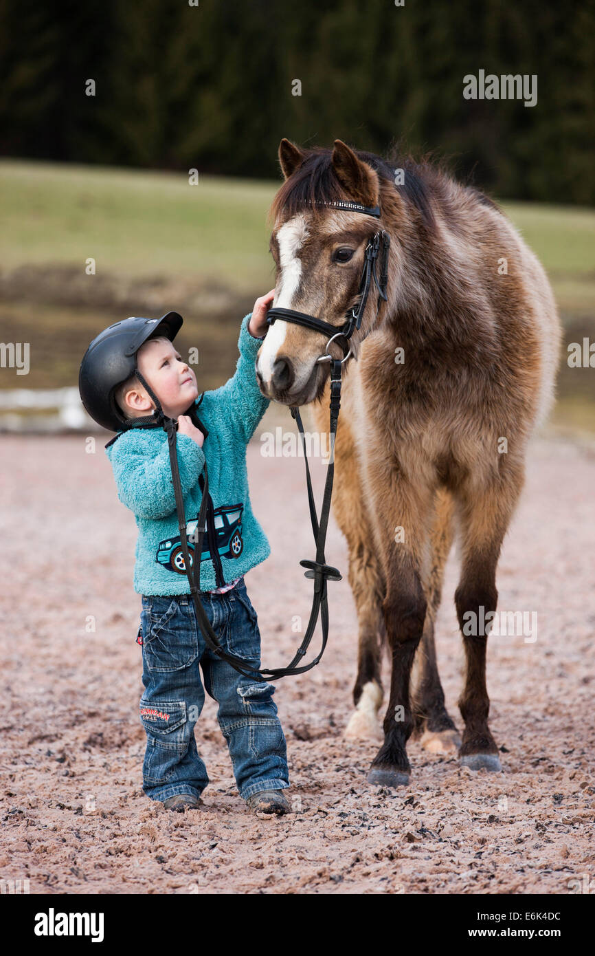 Young child wearing a riding helmet stroking a pony, dun, with a bridle, Tyrol, Austria Stock Photo