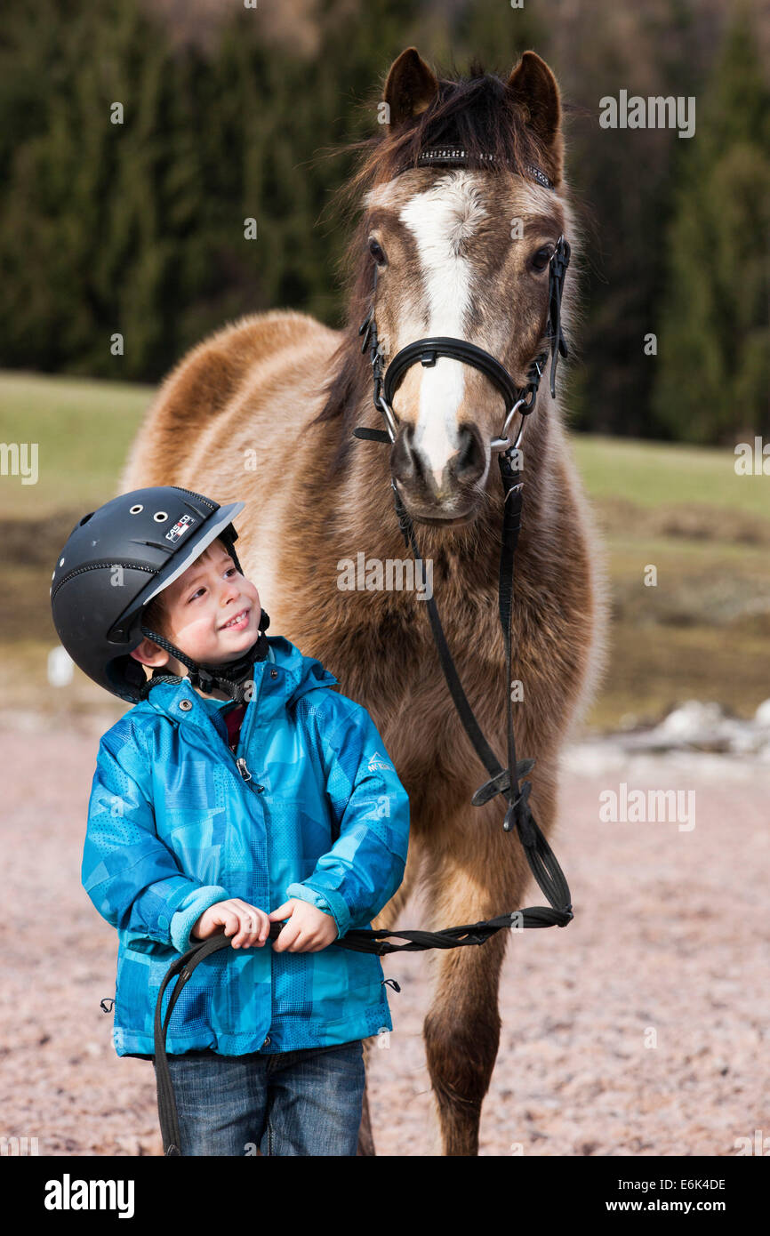 Young child wearing a riding helmet standing beside a pony, dun, with a bridle, Tyrol, Austria Stock Photo