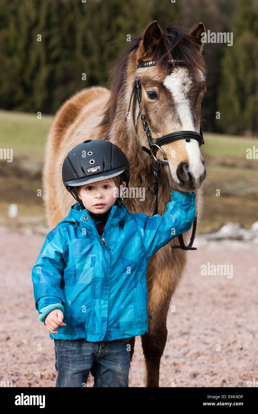 Young child wearing a riding helmet standing beside a pony, dun, with a bridle, Tyrol, Austria Stock Photo