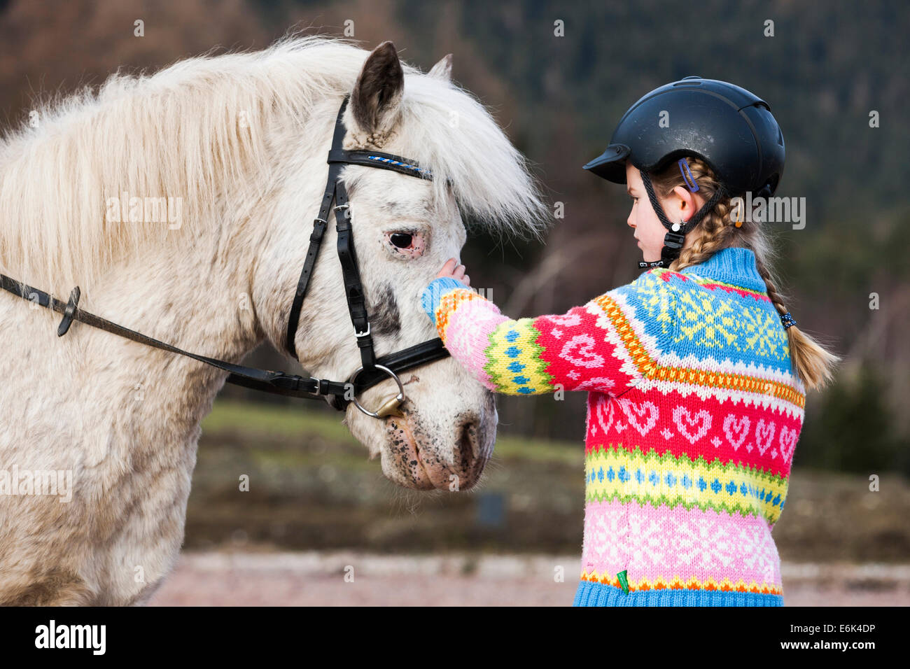 Girl petting a pony, gray, with a bridle, Tyrol, Austria Stock Photo