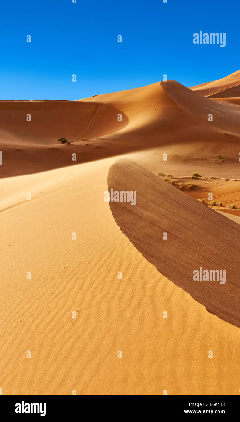Sahara sand dunes of erg Chebbi, Morocco Stock Photo