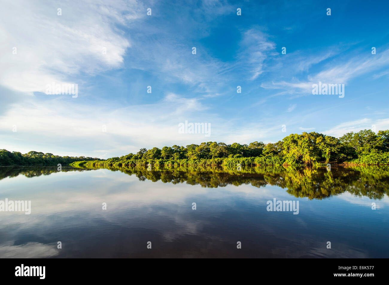 Trees reflecting in the water in a river, Pantanal, UNESCO World ...