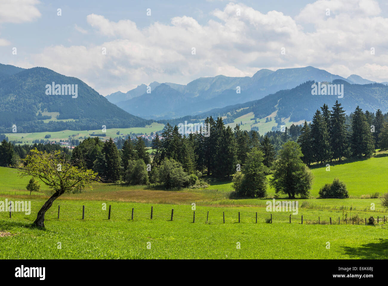 Cultural landscape at Buching, behind the Ammergau Alps, Halblech, Allgäu, Bavaria, Germany Stock Photo