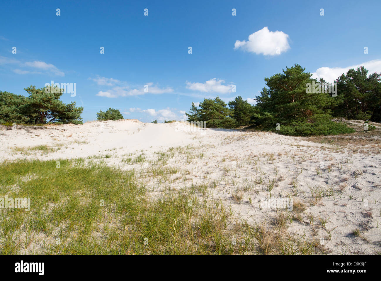 Dunes, Darßer Ort, Darß, Western Pomerania Lagoon Area National Park, Mecklenburg-Western Pomerania, Germany Stock Photo