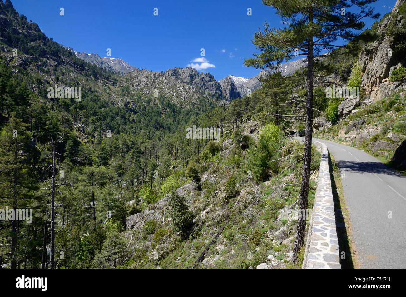 Narrow street in Restonica Valley, Gorges de la Restonica, Parc naturel régional de Corse, near Corte, Corsica, France Stock Photo