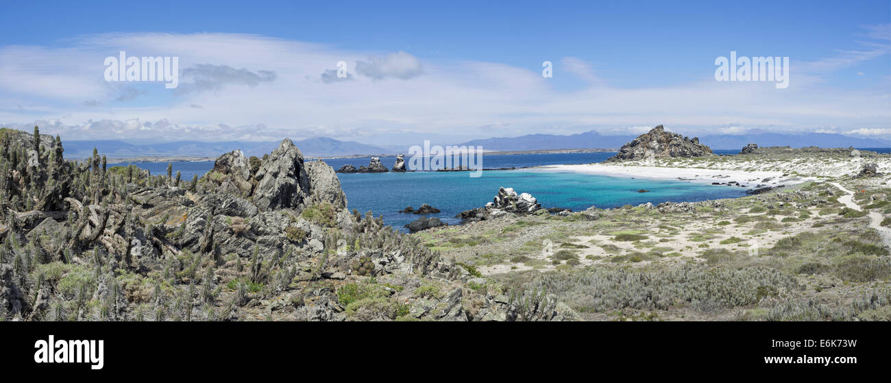Bay with a white sandy beach on Damas Island, Coquimbo Region, Chile Stock Photo