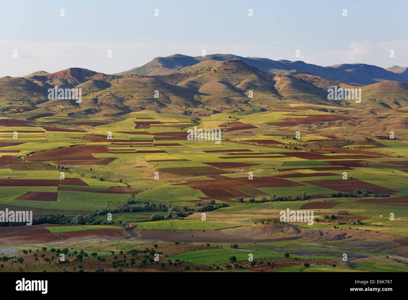 Field landscape in Gercüş, Batman Province, Tur Abdin, Southeastern Anatolia Region, Anatolia, Turkey Stock Photo