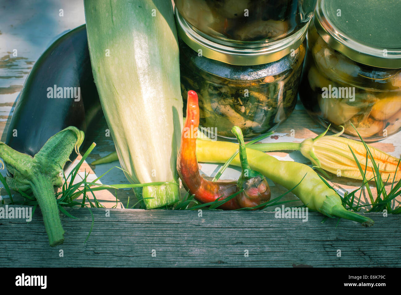 Canned vegetables in garden Stock Photo Alamy