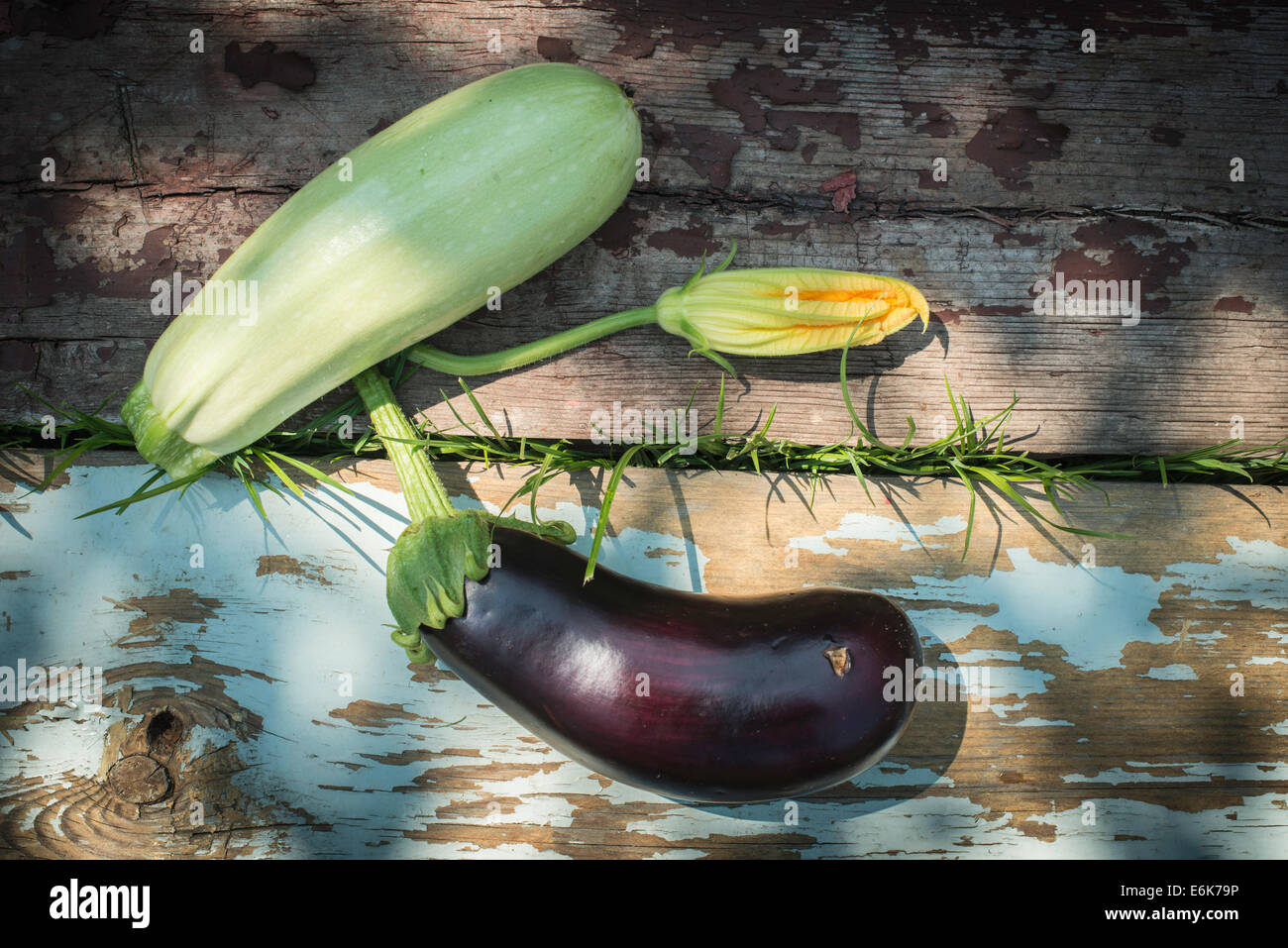 Zucchini and eggplant with blossom. Sun light Stock Photo Alamy