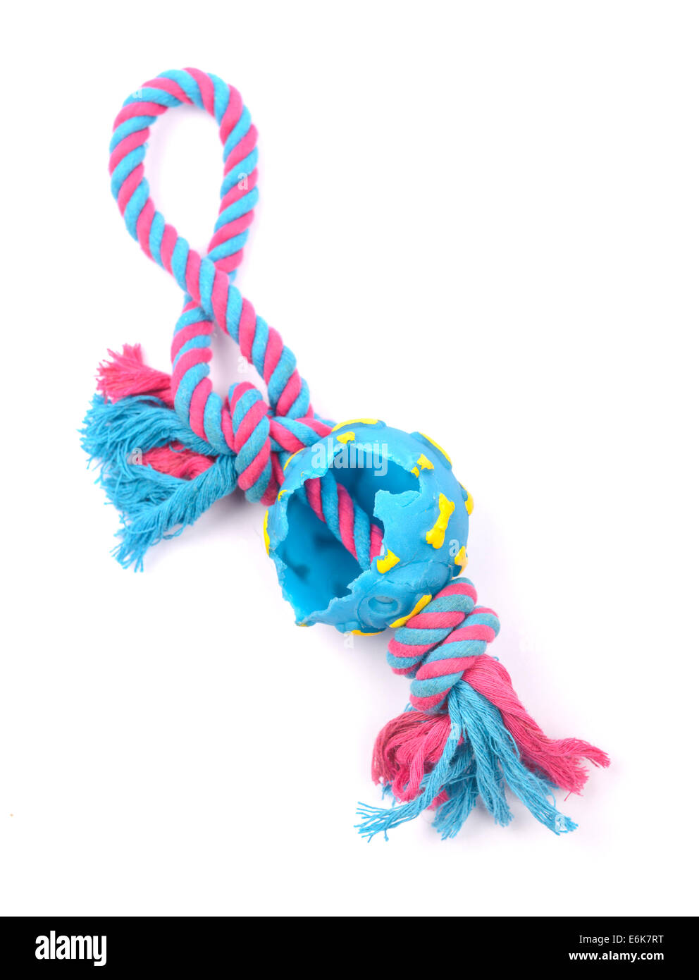 Colorful chewed up dog toy cut out isolated on white background Stock